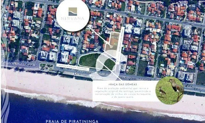 Apartamento Com 3 Do...