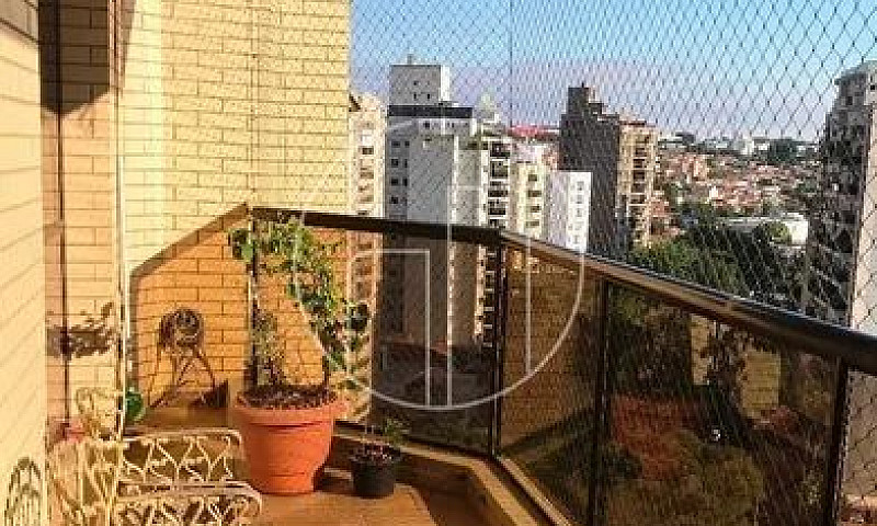 Apartamento - Jardim...