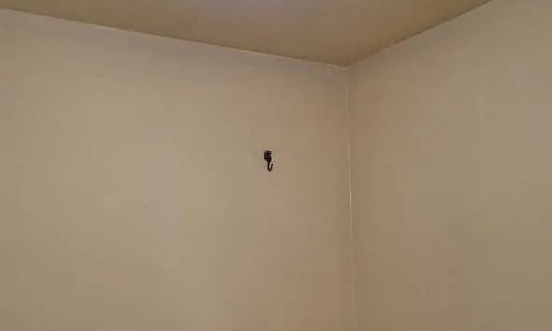 Aluga-Se Apartamento...