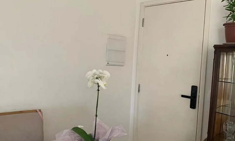 Apartamento Com 2 Do...