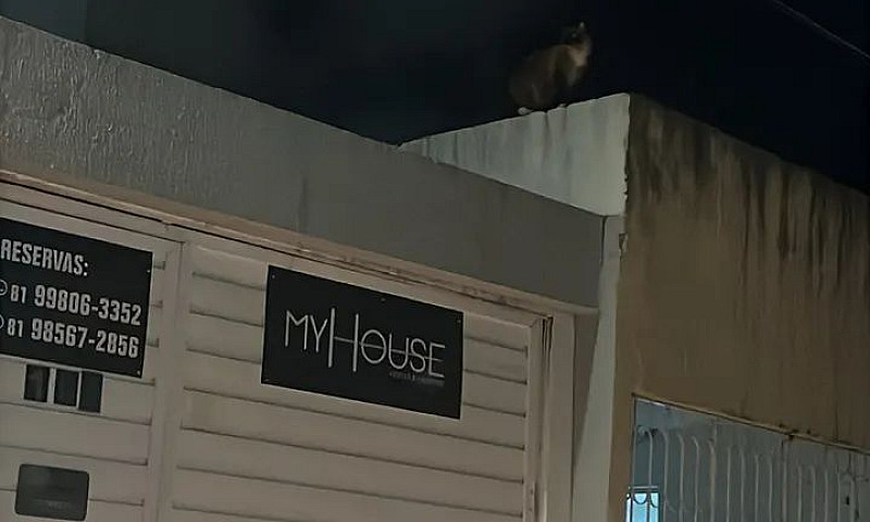 Aluguel Casa De Even...