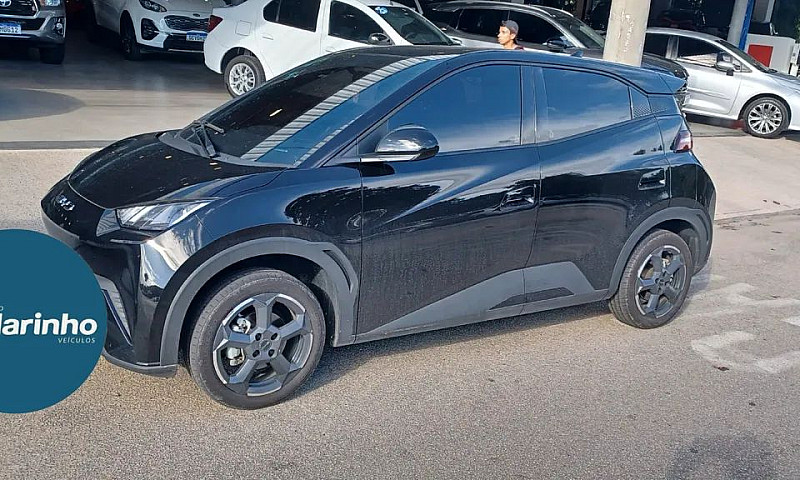 Byd Dolphin Mini (El...