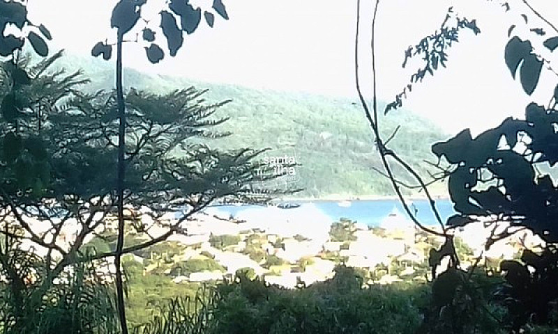 Florianópolis - Casa...
