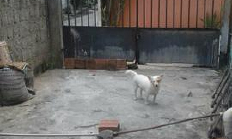 Vendo Ou Troco...