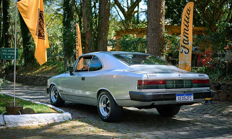 Opala Comodoro 6Cc 2...