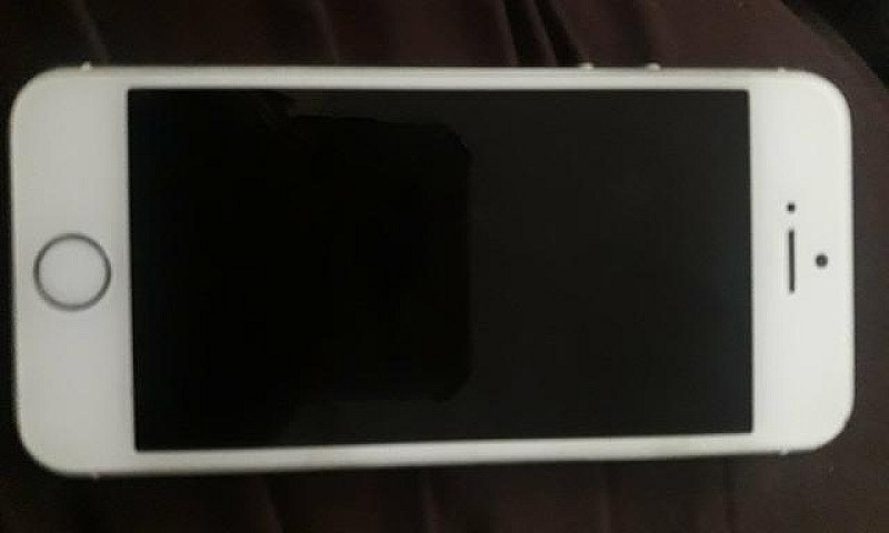 Iphone 5S (Para Reti...