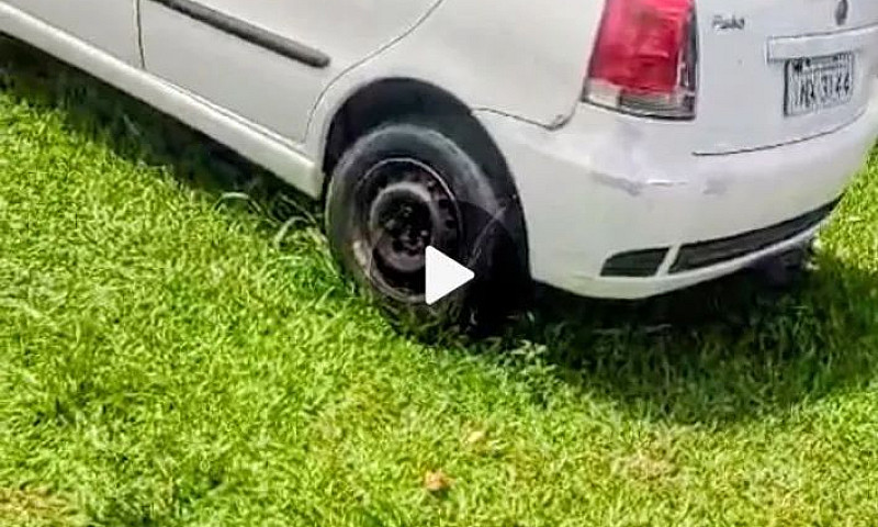 Fiat Palio Celebrati...
