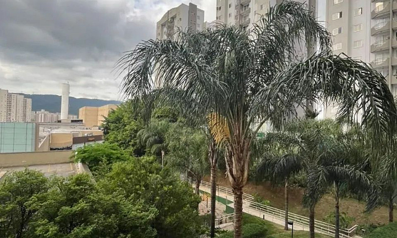 Alugo Apto, 1 Dorm, ...