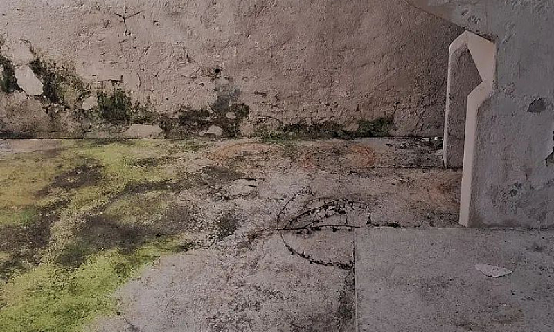 Casa Vianelo  Para I...