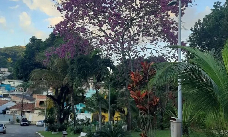 Um Sonho Para Morar....