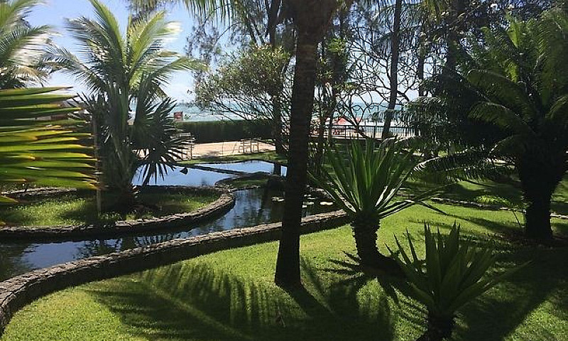 Flat Para Aluguel E ...