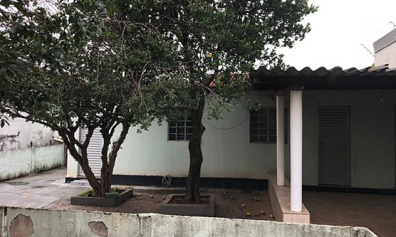 Vende-Se Excelente C...