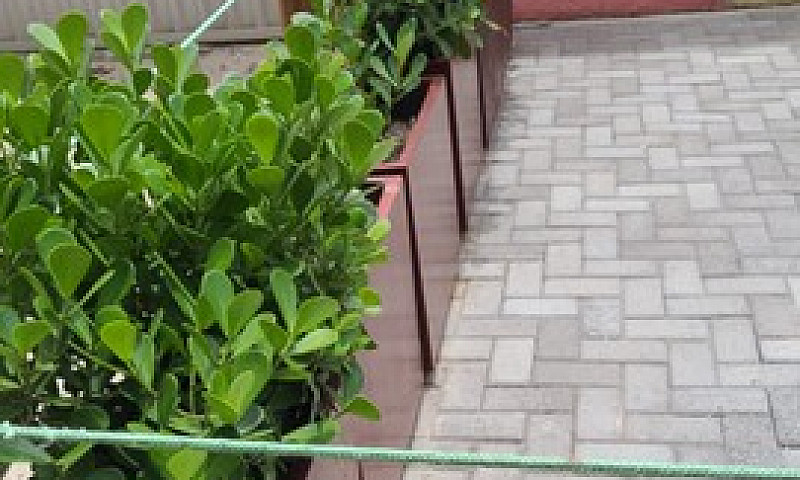 Apartamento Para Alu...