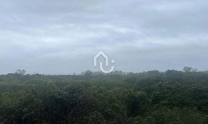 Mundo Novo, 3 Quarto...