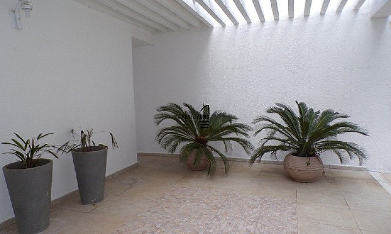 Porto Alegre - Casa ...