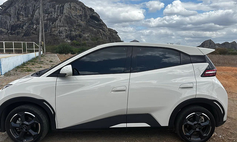 Byd Dolphin Mini (El...