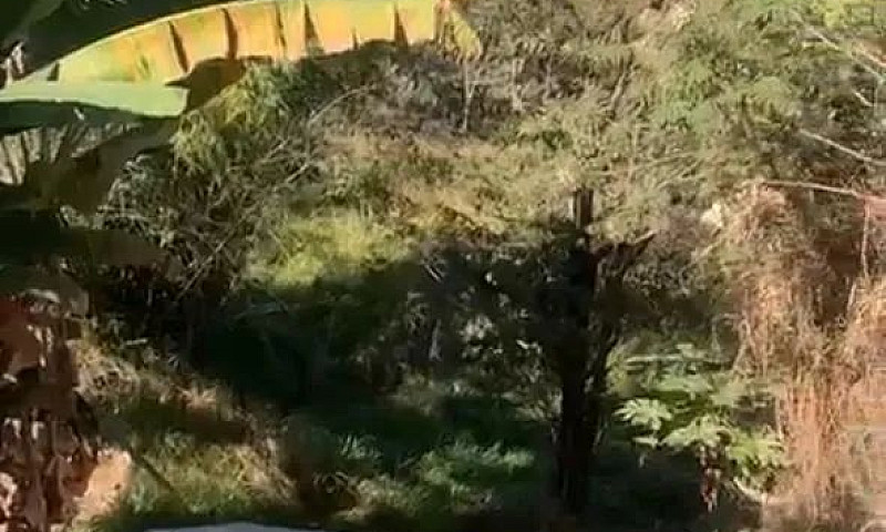 Barracao Para Venda...