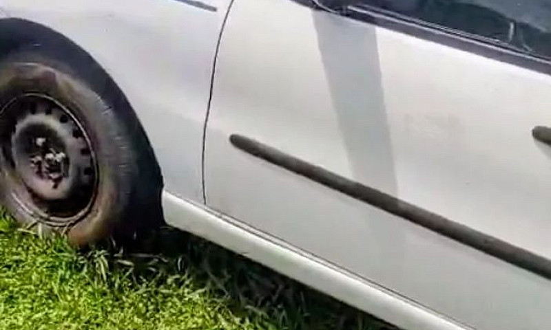 Fiat Palio Celebrati...