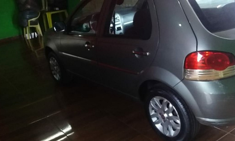 Palio Elx Completo M...