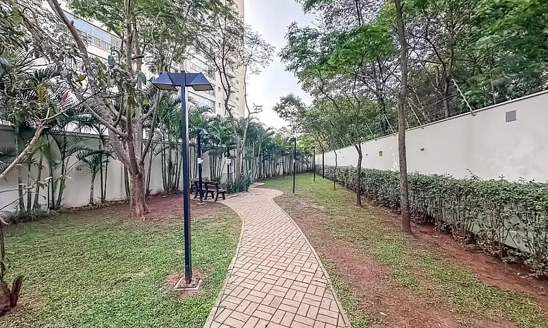 Imóvel Para Venda Co...