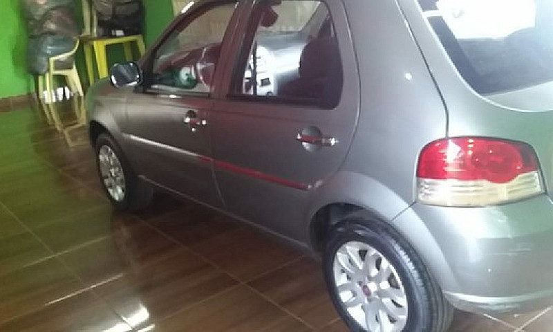 Palio Elx Completo M...
