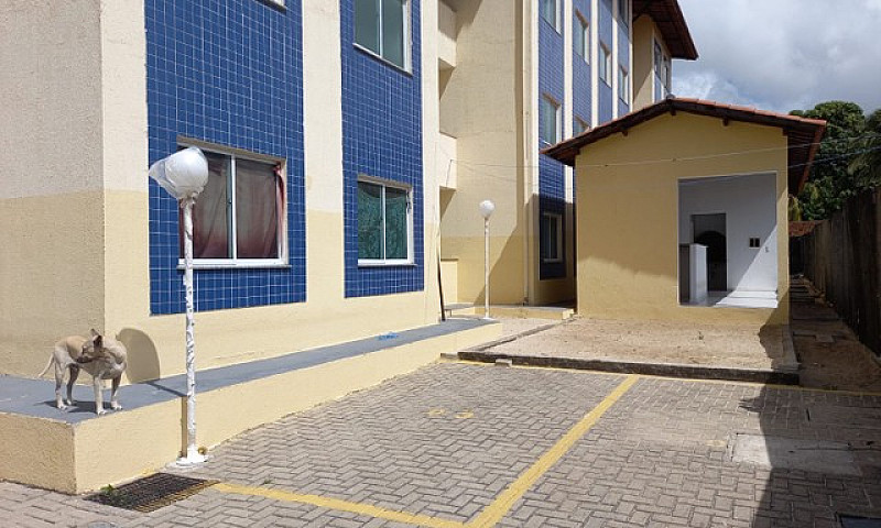 Apartamento Novo Pro...