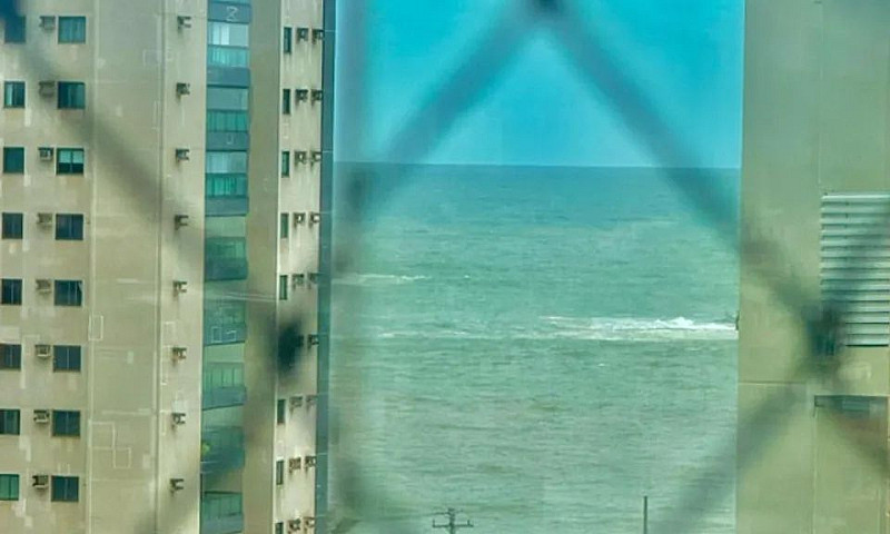 Oportunidade Única -...
