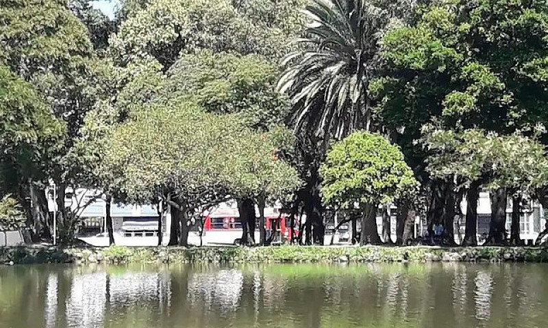 Apartamento Novo, Fr...