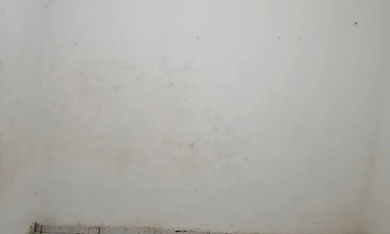 Casa Alugo...