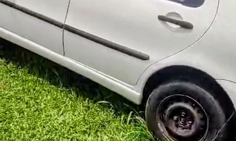 Fiat Palio Celebrati...