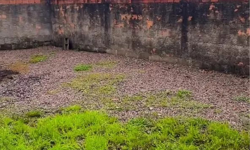 Alugo Casa Próximo À...