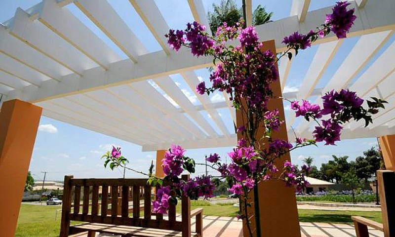 Casas Em Condominio ...