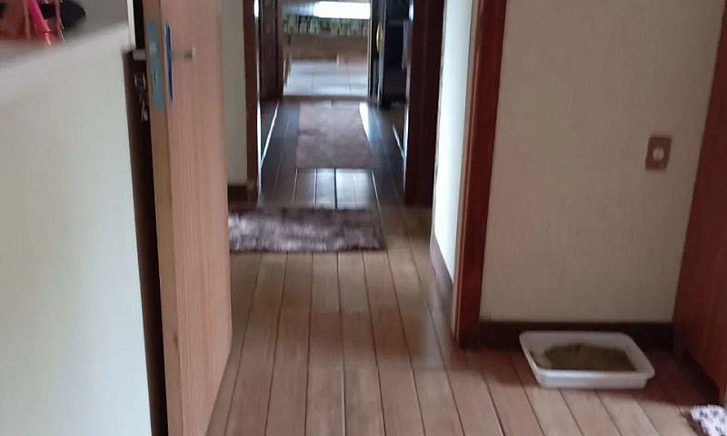 Alugo Casa Em Três R...