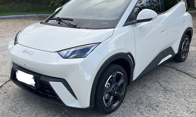 Byd Dolphin Mini (El...