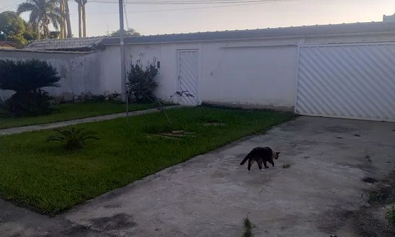Casa ...