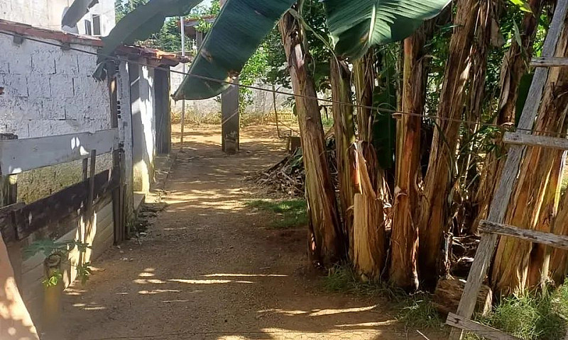 Casa Na   Chácara Ri...