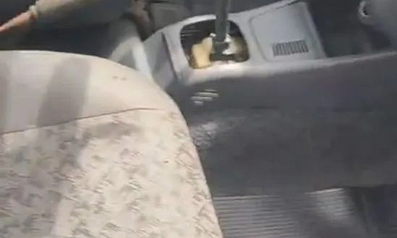 Fiat Palio Celebrati...