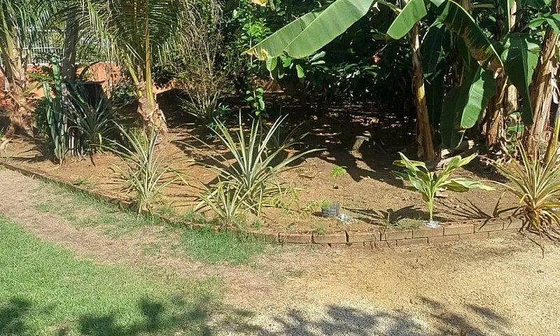 Casa Na   Chácara Ri...