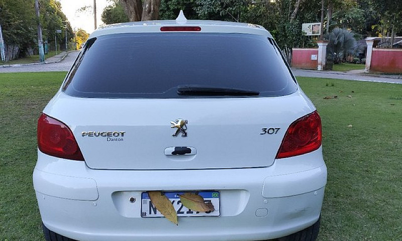 Peugeot 307 2010 1.6...