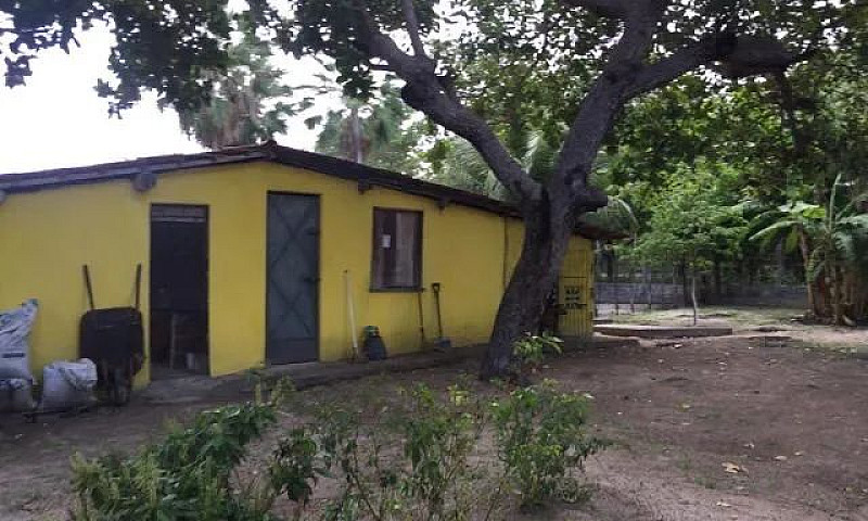 Casa/Silítio Em Cemo...