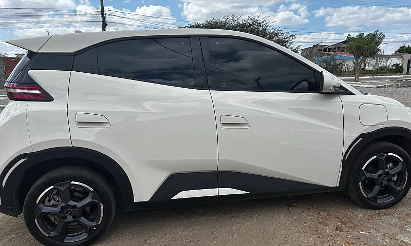 Byd Dolphin Mini (El...