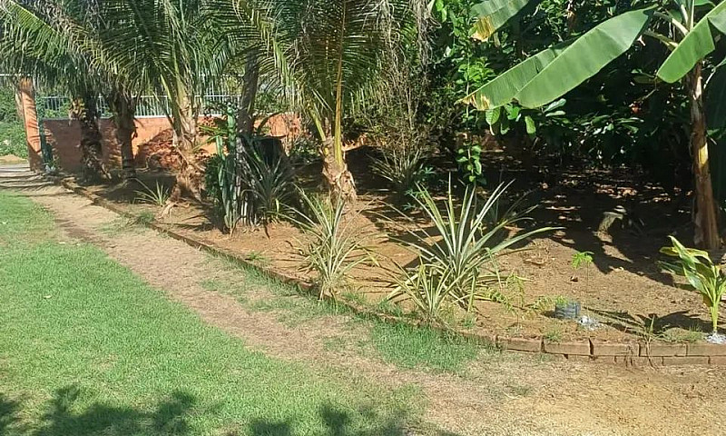 Casa Na   Chácara Ri...