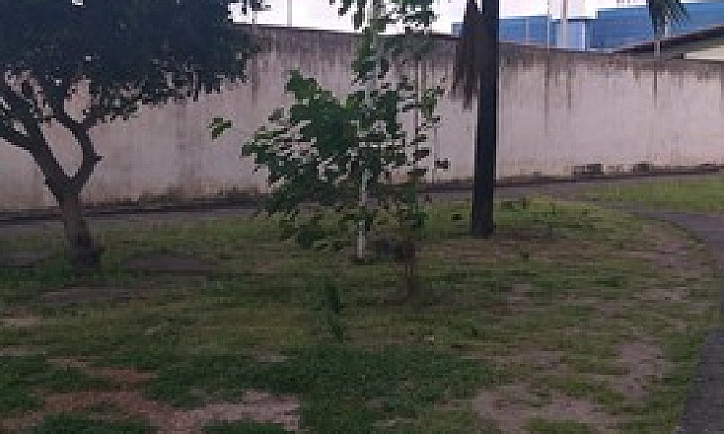 Apartamento Padrão P...