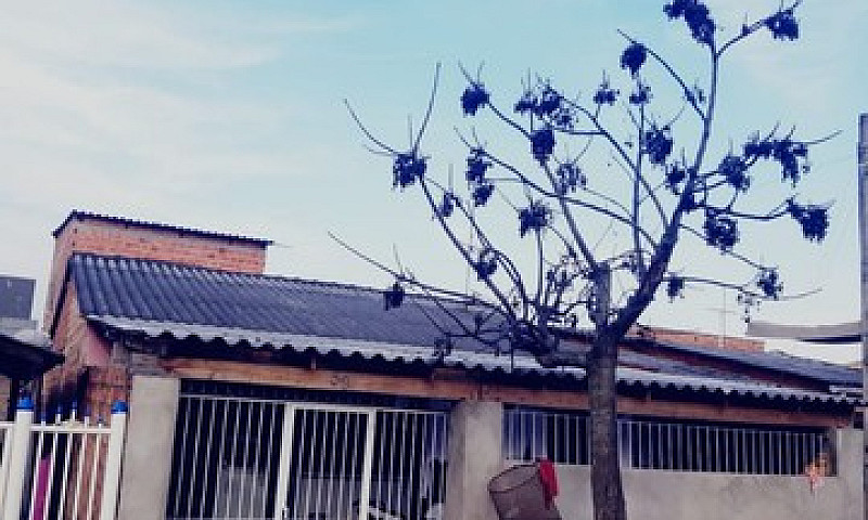 Terreno 2 Casas No P...