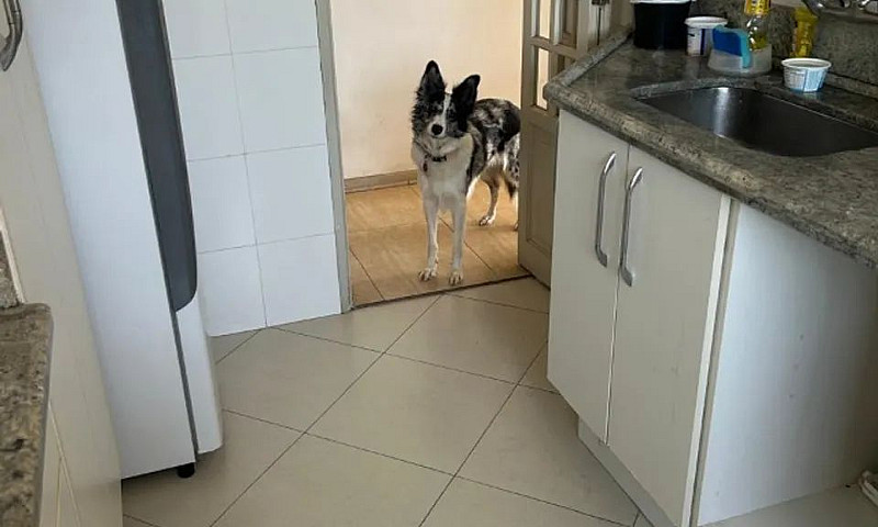Vaga Em Apartamento ...