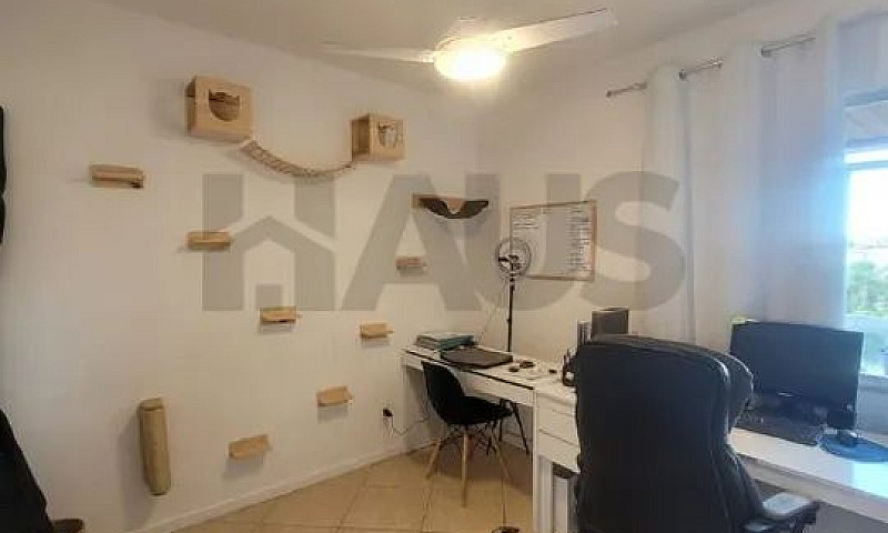 Apartamento Padrão -...