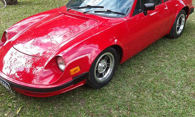 Puma Gte  1980 Placa...