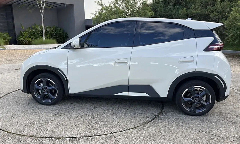 Byd Dolphin Mini (El...