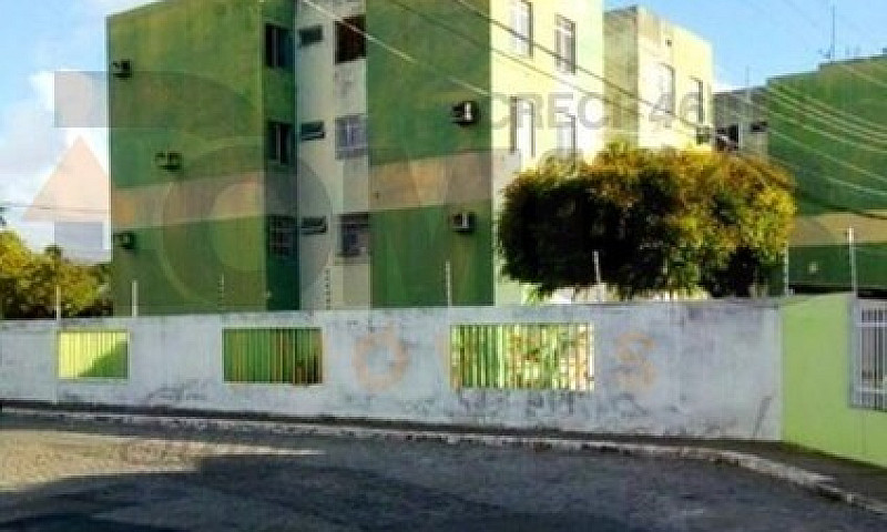 Apartamento Padrão P...