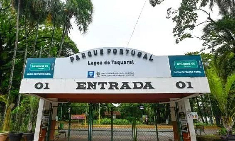 Casa À Venda Em Camp...